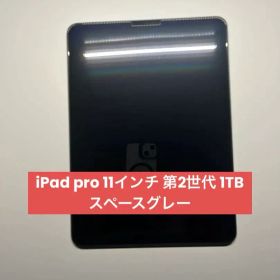 Apple iPad Pro 第2世代11インチ 1TB WiFiモデル