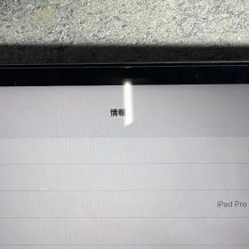 Apple iPad Pro M1 1TB 11インチ Cellularモデル