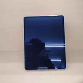 IPAD PRO(第6世代) MNXQ3J/A APPLE/WIFI