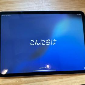 iPad Pro 11-inch 第二世代 128GB スペースグレイ