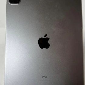 Apple iPad Pro 11インチ (第2世代）スペースグレイ