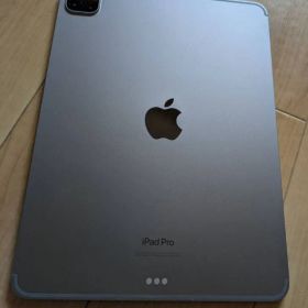 ipadPro11インチ(第4世代）Cellularモデル 256GB