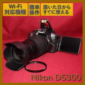 ❤️Wi-Fi内蔵＆超希少なグレー❤️ニコン D5300 近遠対応神レンズ❤️