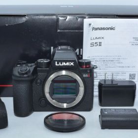 【440ショットの特上品】 パナソニック Panasonic ミ DC-S5M2 ラーレス一眼カメラ S5M2 ボディ ブラック ＃9051
