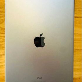 【動作良好】iPad Pro 10.5インチ 256GB スペースグレイ