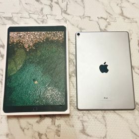 【ジャンク】 iPadPro 10.5インチ