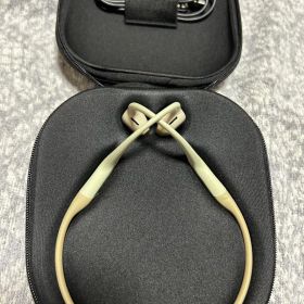 SHOKZ OpenRun Pro ベージュ 通常サイズ