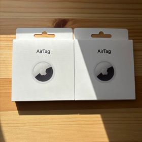 AirTag 巳デザイン 2025年干支 Apple エアタグ 限定 2個