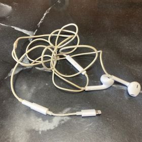 Apple EarPods with Lightning Connector