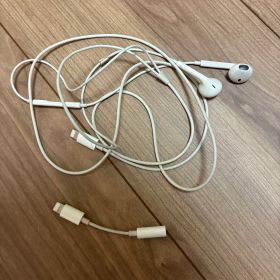 Apple EarPods with Lightning Connector
