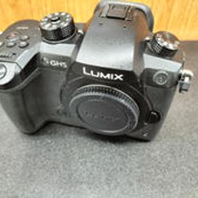 ミラーレス一眼ボディ DC-GH5 PANASONIC