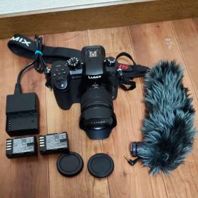 出品は4/4まで パナソニック ルミックス DC-GH5 バッテリー マイク