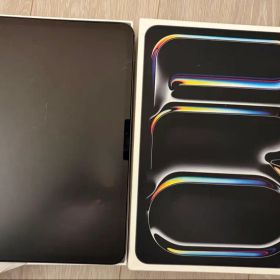 Apple iPad Pro 11インチ (M4) スペースグレー 256GB