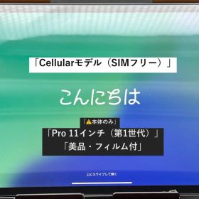 【美品】iPad Pro 11インチ 第1世代 64GB SIMフリー セルラー