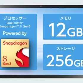 NEC PC-TX117LAS LAVIE Tab EX TX117/ LAS シーシェル/ CPU：Qualcomm Snapdragon 8 Gen 3/ メモリ：12GB/ ストレージタイプ：eMMC・256GB/ OS：Android 15/ 11.1型/ SIMスロット：無し