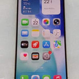 IPHONE15 PRO 256GB MTUF3J/A APPLE