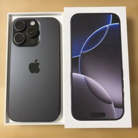 BT100% iPhone16Pro 256GB
