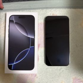 も*も様 iPhone16 pro MAX 256GB (本体と箱だけ)