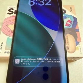 iPhone 16 Pro Max US版 海外版物理dualSIMカード
