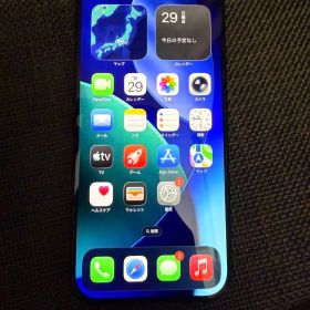 ホ*ン様 iPhone 16 Pro Max 256GB 本体