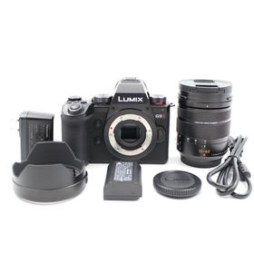 PANASONIC LUMIX G9PROII 標準ズームレンズキット ミラーレス一眼カメラ DC-G9M2L パナソニック
