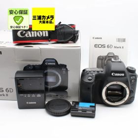 【極上品】 Canon EOS 6D Mark II ボディ EOS6DMK2 デジタル一眼レフカメラ #07103120