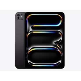 『新品』Apple(アップル)iPad Pro 11インチ Wi-Fi 512GB スペースブラック [MVVC3J/A]