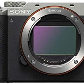 【中古】ソニー 世界 フルサイズミラーレス一眼 α7C シルバー ボディ シルバー ILCE-7C S カメラ 中古 人気 おすすめ 高画質