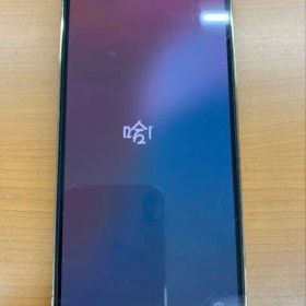 動作確認済 iPhone 13 Pro 256GB