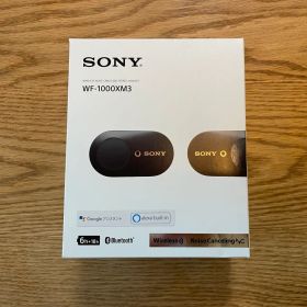 【ジャンク品】ワイヤレスイヤホン SONY WF-1000XM3