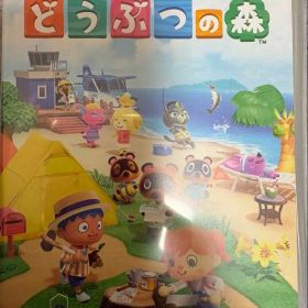 あつまれ どうぶつの森 Nintendo Switch