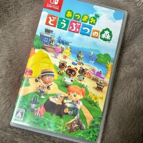 Switch あつまれどうぶつの森 パッケージ版