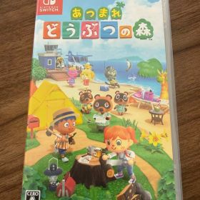 あつまれ どうぶつの森 Nintendo Switch