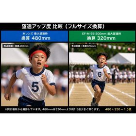 キヤノン(Canon)の15803 キヤノン EOS M 超望遠 Canon EF 100-300mm(レンズ(ズーム))