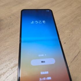 Samsung Galaxy Z Flip 5 本体