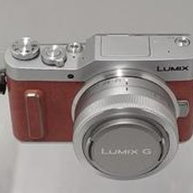 ミラーレス一眼 DC-GF10 PANASONIC