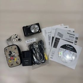 Panasonic LUMIX DMC-ZX1 デジカメ