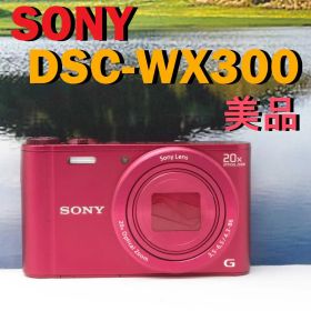 【完動品】SONY DSC-WX300★SDカード付★すぐ使えるセット！