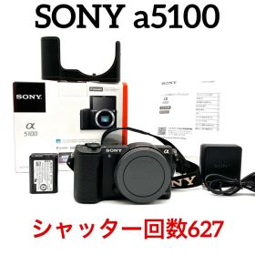 SONY ILCE-5100 a5100 ボディ BLACK