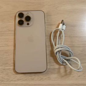 Apple iPhone13Pro 256GB SIMフリー本体充電ケーブル付き