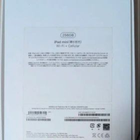 iPadmini 256GBWi-FiCellularApple Pencil付