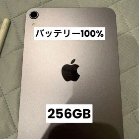 ライライ様 iPad mini 第6世代 256GB Apple pencil