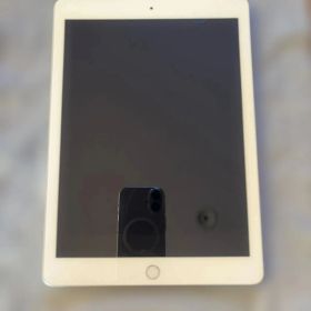 Apple iPad 本体 A1823 シルバー 第5世代
