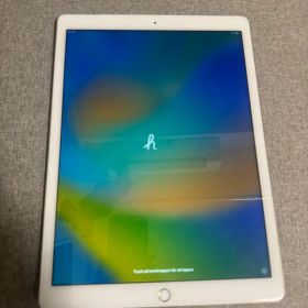 Apple iPad pro 12.9インチ ゴールド 本体 128GB