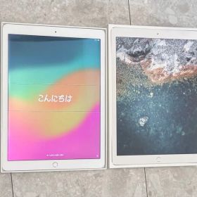 美品 iPad Pro 12.9インチ 第2世代 64GB Wi-Fiモデル