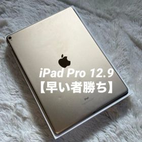 【完動品】iPad Pro 12.9 512GB 【すぐ発送】【付属品】
