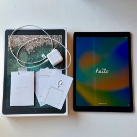 iPad Pro 12.9 256GB 本体 (美品)＋ぺーパーライクオマケ付
