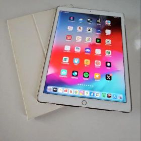 iPad Pro 第二世代 セルラーモデル 12.9 ストレージ512GB 美品