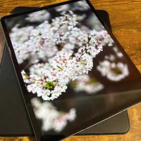 iPad Pro 12.9-inch Cellular 256 gb Apple