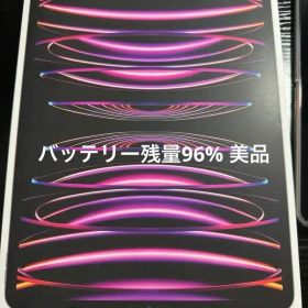 iPad Pro 12.9インチ（第6世代） 256GB Wi-Fiモデル 美品